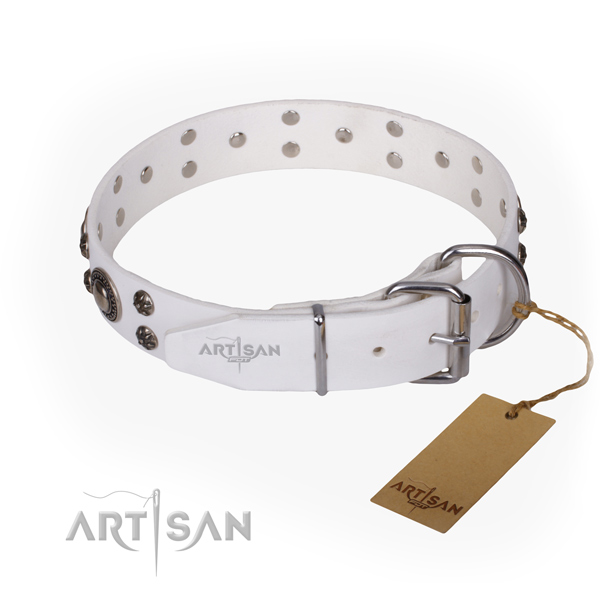 Daily use full grain genuine leather collar with embellishments for your doggie