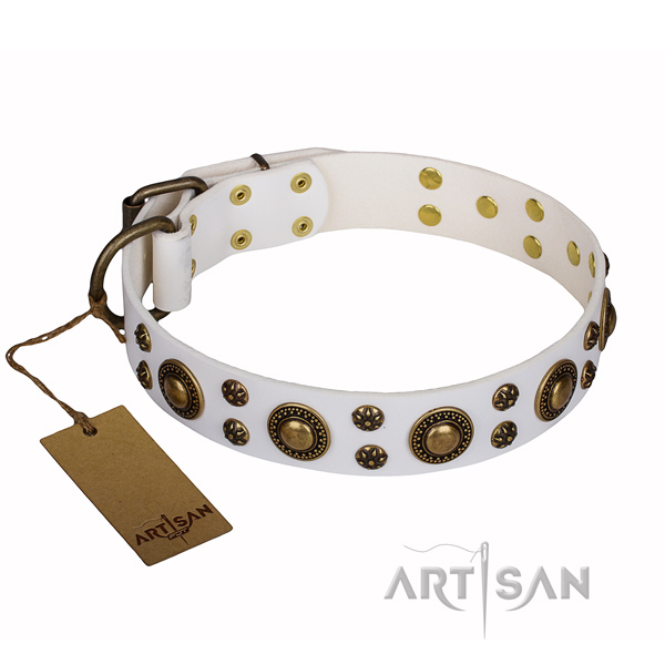 Walking genuine leather collar with embellishments for your doggie