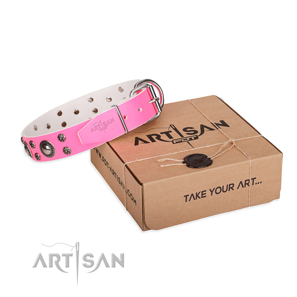 Impressive leather dog collar for walking