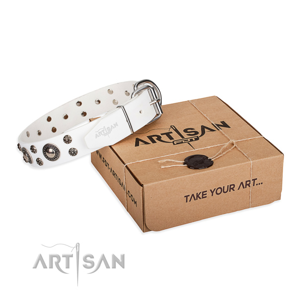Perfect fit full grain natural leather dog collar for walking in style