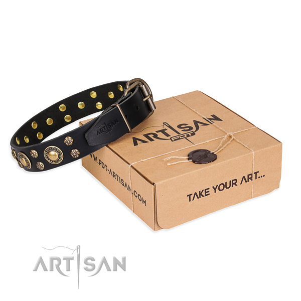 Fine quality full grain natural leather dog collar for stylish walking