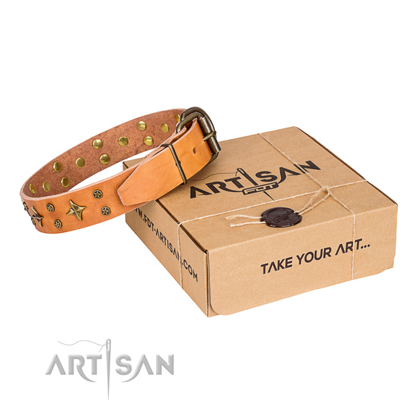 Embellished full grain leather dog collar for everyday walking