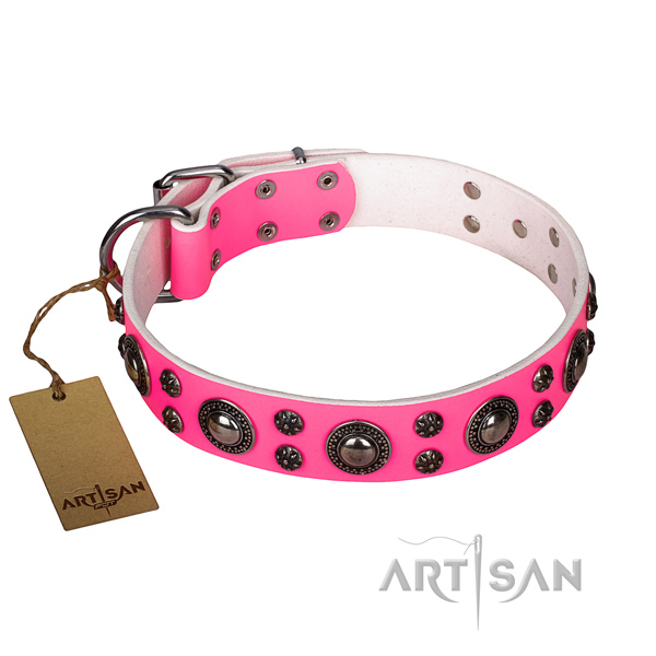 Fashionable full grain natural leather dog collar for walking