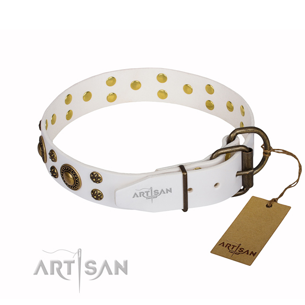 Exceptional leather dog collar for walking