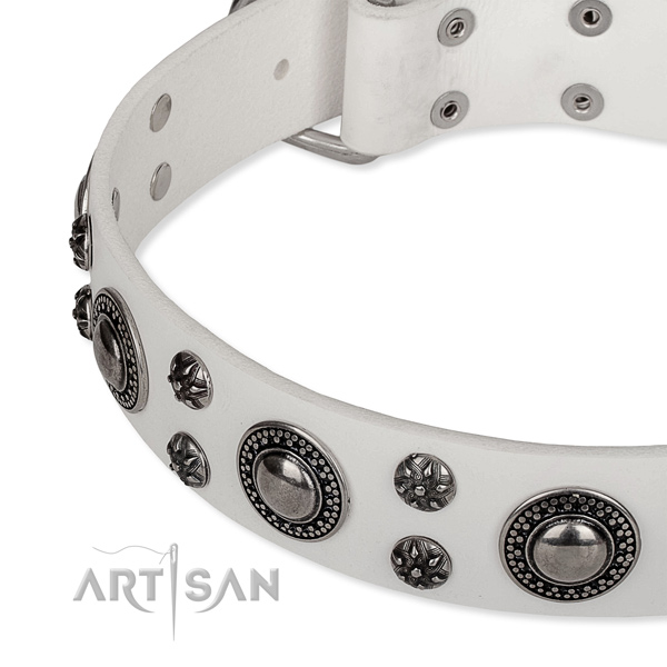 Everyday use full grain leather collar with rust-proof buckle and D-ring