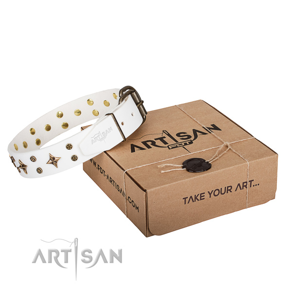 Adorned full grain leather dog collar for handy use