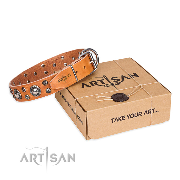 Fine quality full grain leather dog collar for stylish walking