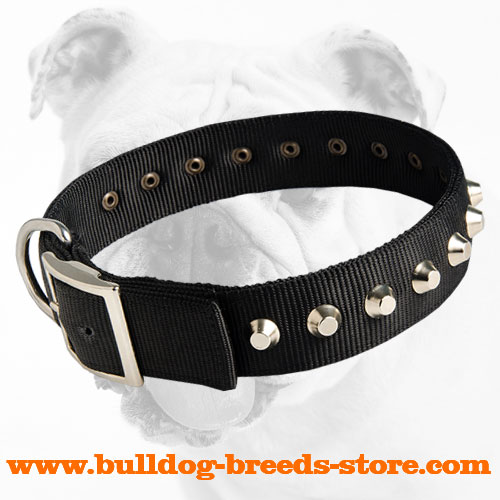 Fashion Nylon Bulldog Collar with Strong Fittings for Walking