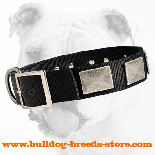 Walking Nylon Bulldog Collar with Strong Fittings