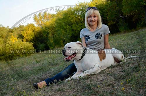 Handcrafted Walking Leather American Bulldog Collar