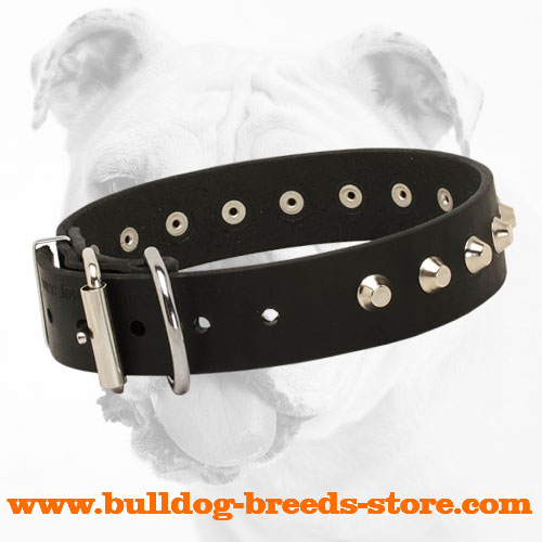 Creatively Designed Leather Bulldog Collar with Strong Buckle