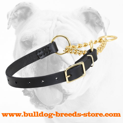 Walking Leather Martingale Bulldog Collar