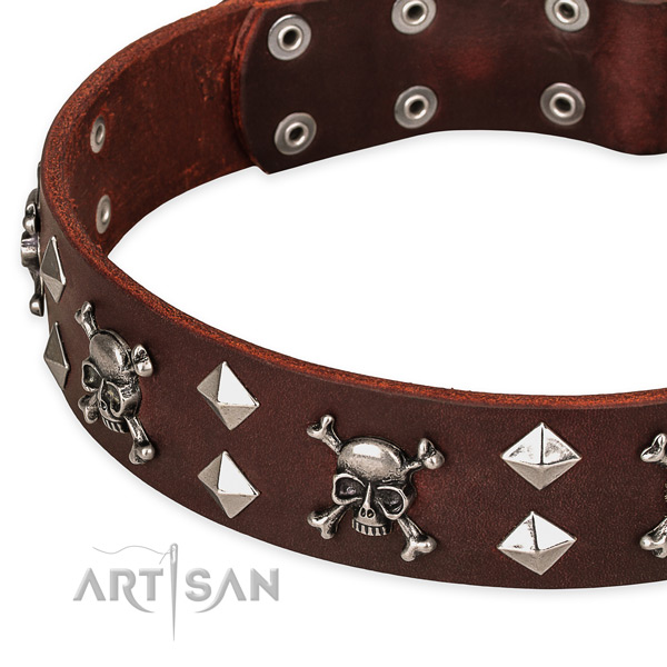 Top notch leather dog collar for walking