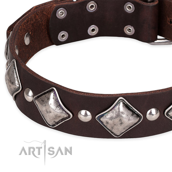 Snugly fitted leather dog collar with resistant durable set of hardware