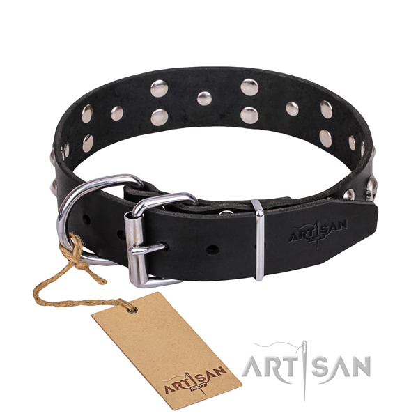 Resistant leather dog collar with strong details