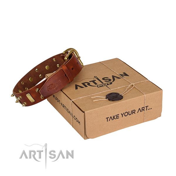 Everyday leather dog collar with fancy embellishments