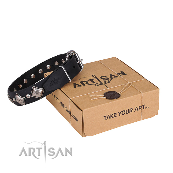 Casual style leather dog collar with exciting studs