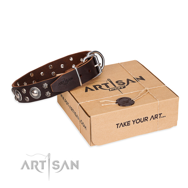 Everyday leather dog collar with sensational adornments