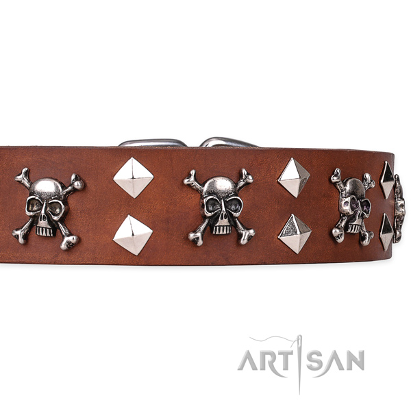 Casual style leather dog collar with unique design studs