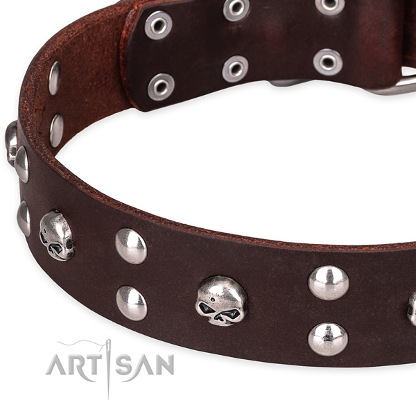 Daily leather dog collar with refined studs