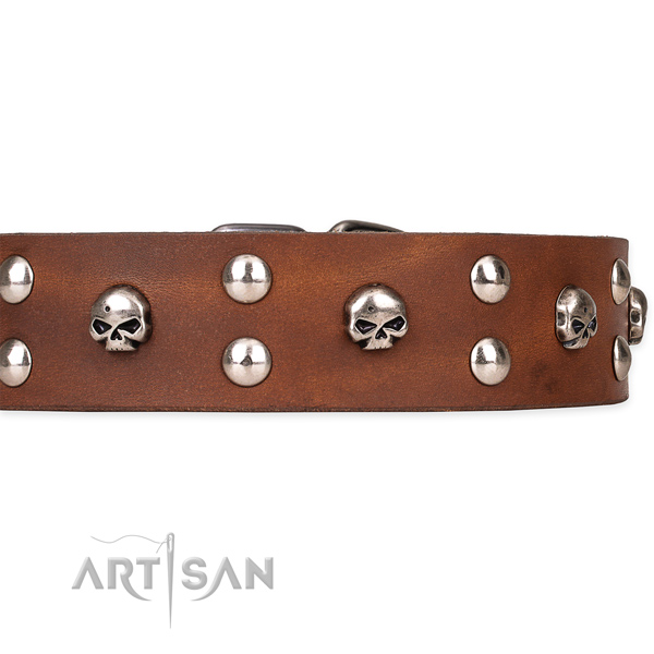 Genuine leather dog collar with polished exterior