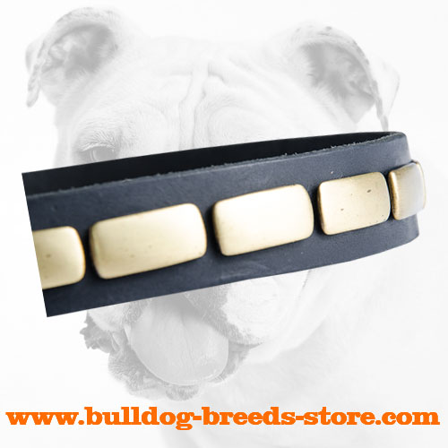 Plates on Fashion Walking Leather Bulldog Collar