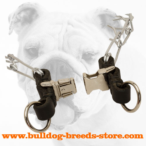 Strong Quick Release Buckle of Chrome Plated Steel Bulldog Prong Collar