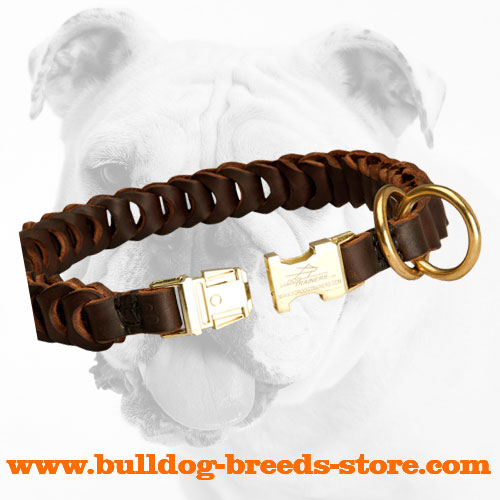 Strong Quick Release Buckle on Leather Bulldog Choke Collar