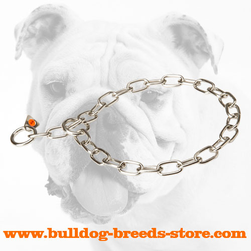 Training Stainless Steel Bulldog Fur Saver