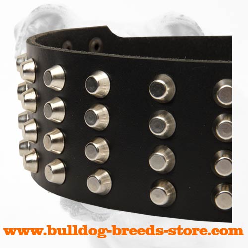 Studs on Adjustable Walking Leather Bulldog Collar