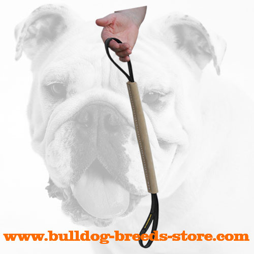 Leather Bite Tug for Retrieve Bulldog Training