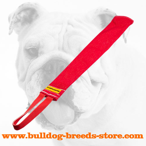 French Linen Bulldog Bite Rag with a Nylon Loop