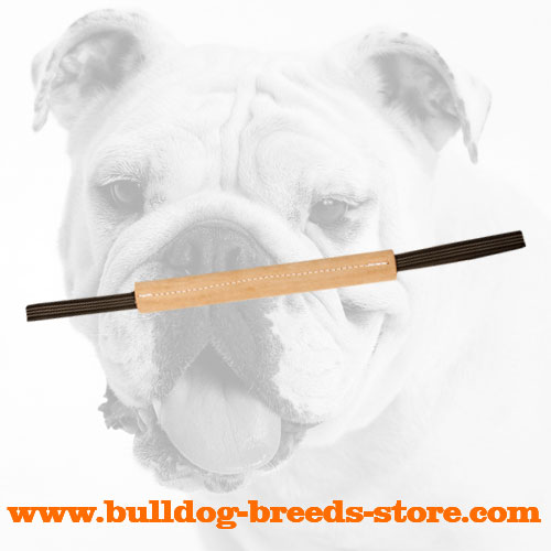 Leather Bulldog Bite Tug with Two Handles