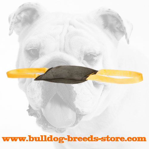 Properly Stuffed Leather Dog Bite Tug for Bulldog