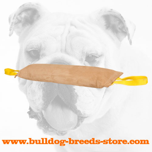 Properly Stitched Leather Dog Bite Tug for Bulldog