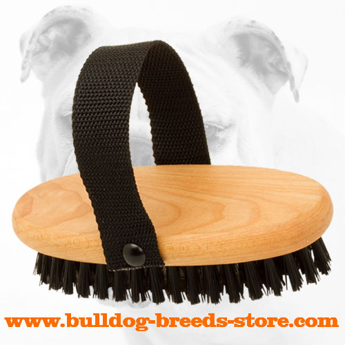 Bulldog Brush for Grooming