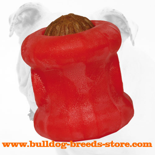 Rolling Everlasting Bulldog Chew Ball