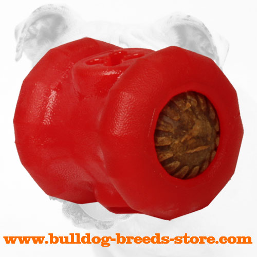 Bulldog Chew Toy for Food Consumption