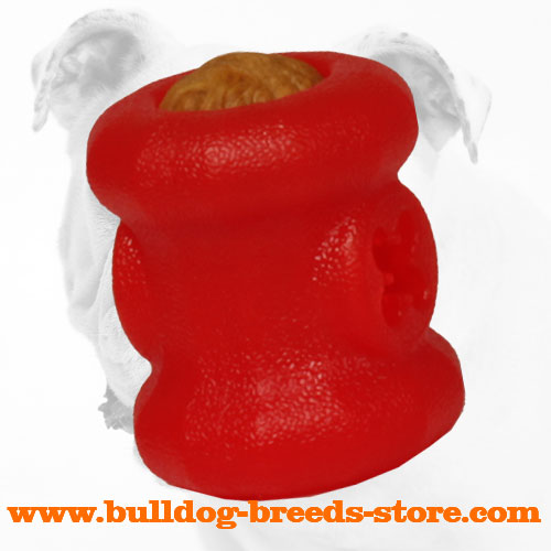 Foam Chew Bulldog Toy for Longer Food Consumption