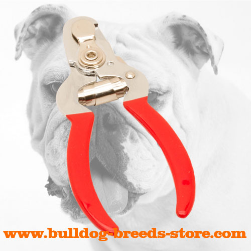 Bulldog Nail Clipper for Puppies and Adult Dogs