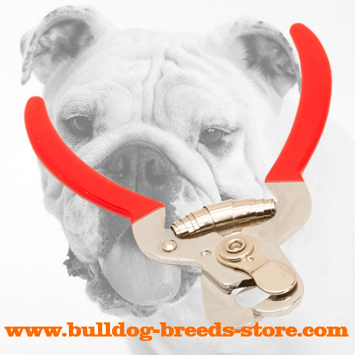 Comfortable Dog Nail Trimmer for Bulldog