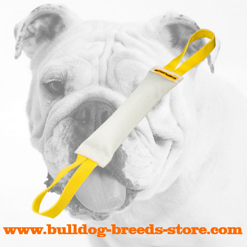 Strong Training Fire Hose Bulldog Bite Tug