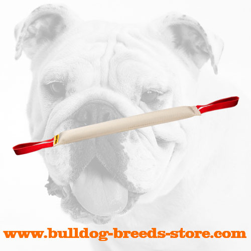 Fire Hose Bulldog Bite Tug with two Strong Handles for Bite Training