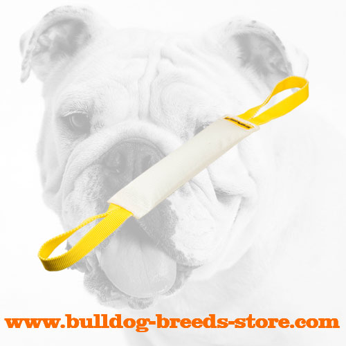 Fire Hose Bulldog Bite Tug with two Strong Handles