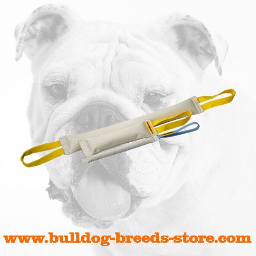 Super Durable Fire Hose Bulldog Training Bite Tugs