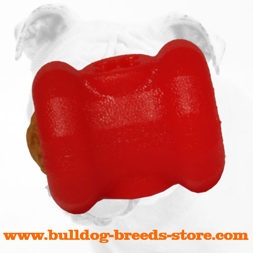 Bulldog Treat Holder
