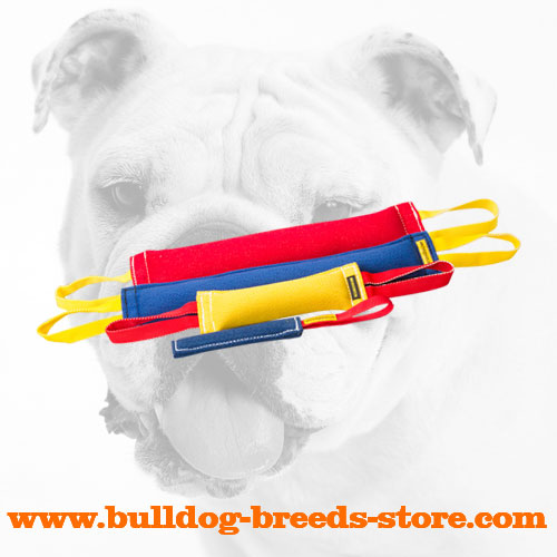 Best French Linen Bulldog Tugs for Retrieve Training 