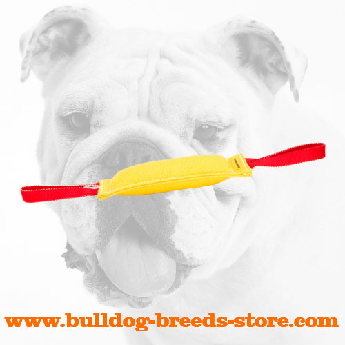 Retrieve French Linen Bulldog Bite Tug