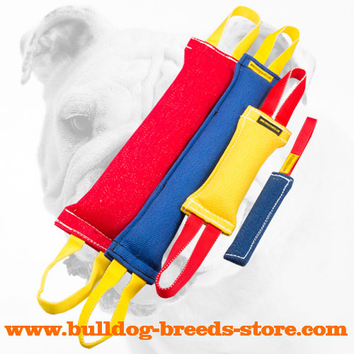 French Linen Bulldog Tugs for Bite Training