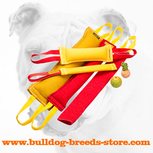Stout Retrieve French Linen Bulldog Bite Tugs